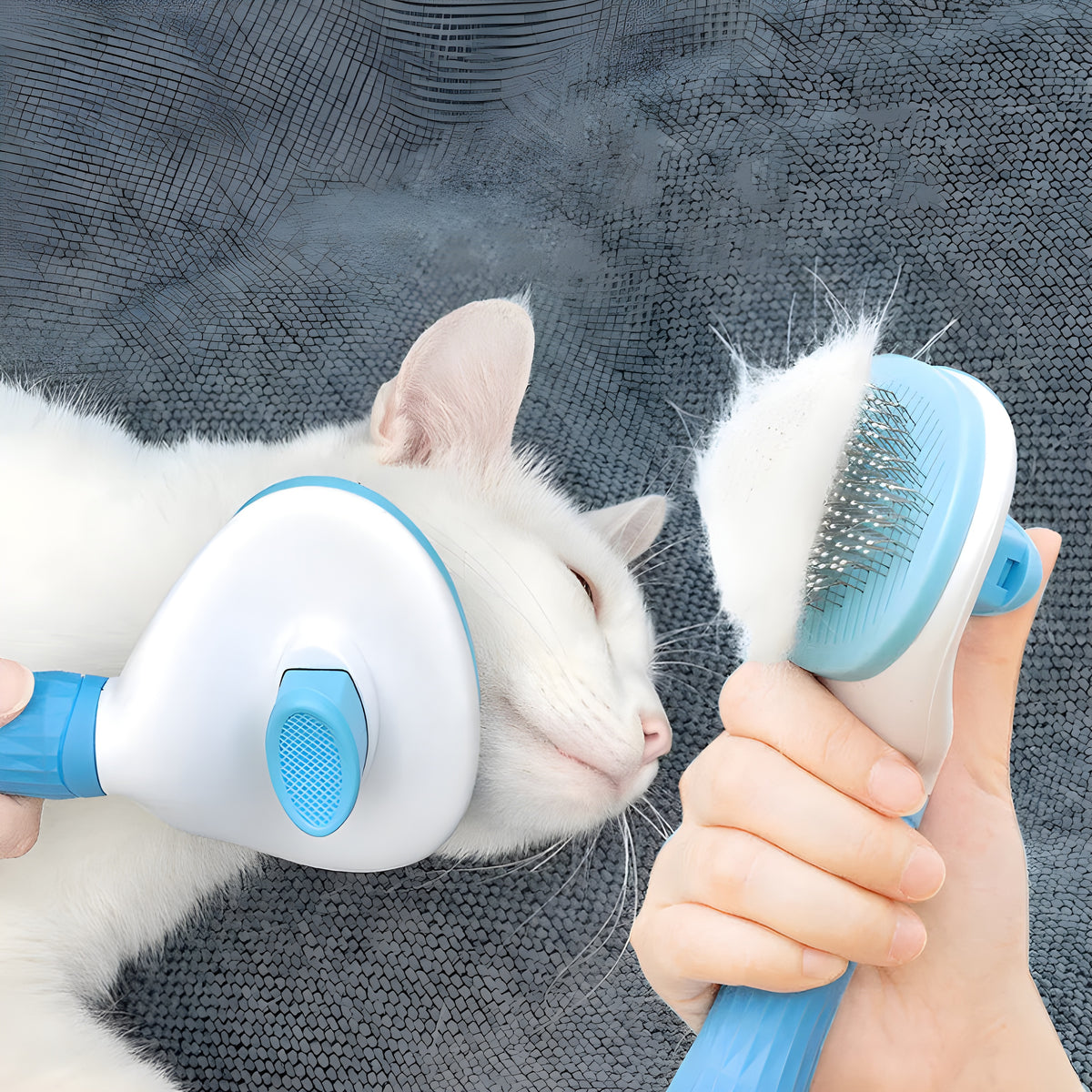 Gatto spazzolato e rilassato con la spazzola da toelettatura PixeGroom