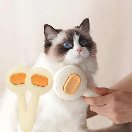 Gatto spazzolato e rilassato con la spazzola da toelettatura PixeGroom